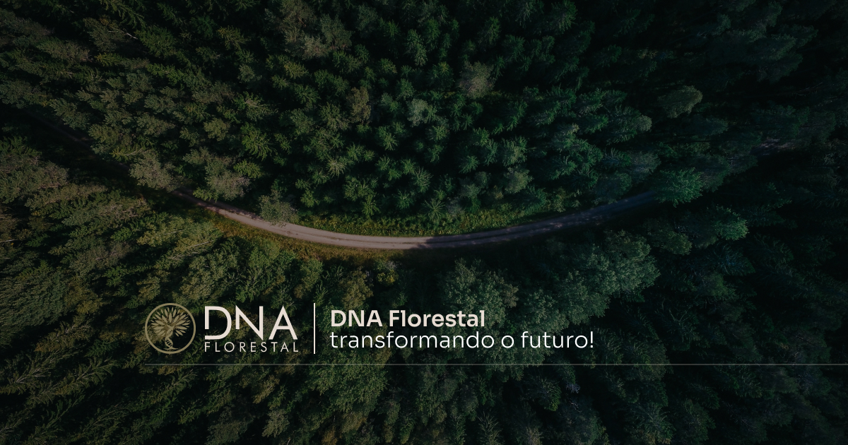 Dna Florestal Ltda.